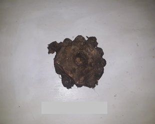 Клапан управления ГУР в сборе ЗИЛ-130. 130-3430012 915164661 фото